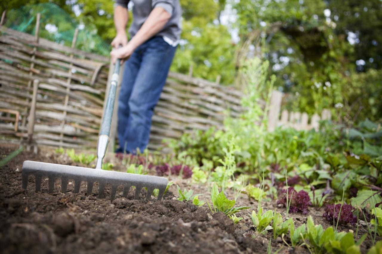 Bodenvorbereitung für Gemüseanbau im Garten