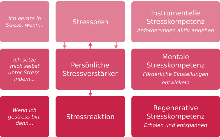 Schwierigkeiten bei der Bewältigung von Stress