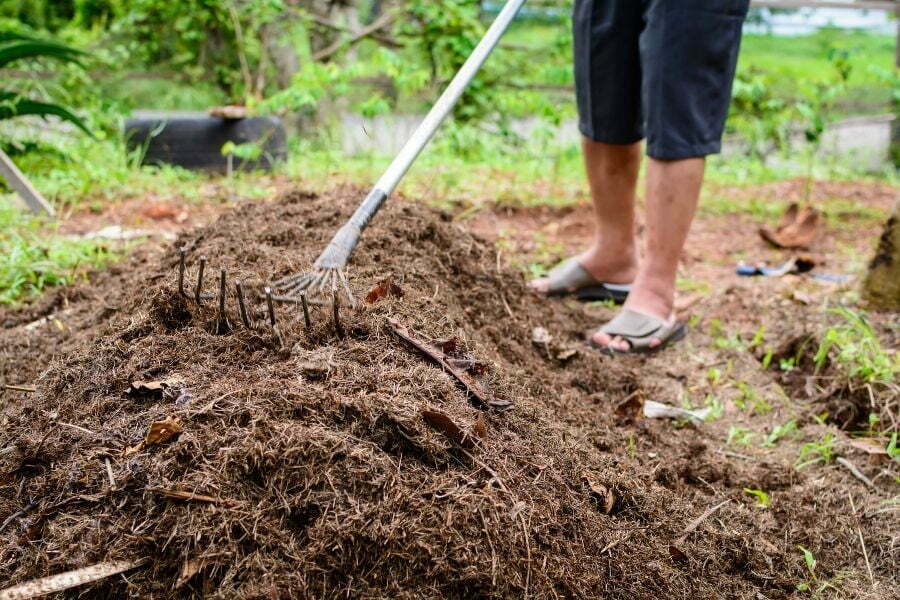 Soil preparation herbs gardening