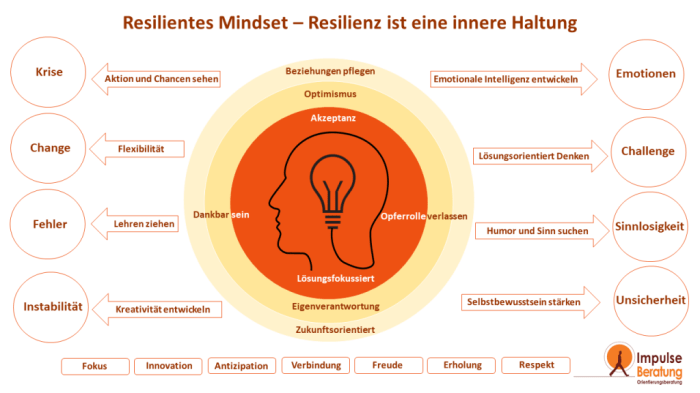 Resilienz säulen