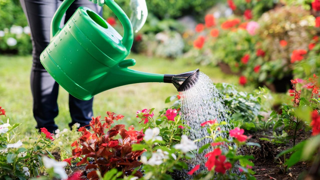 Welche Gießtechnik spart am meisten Wasser?