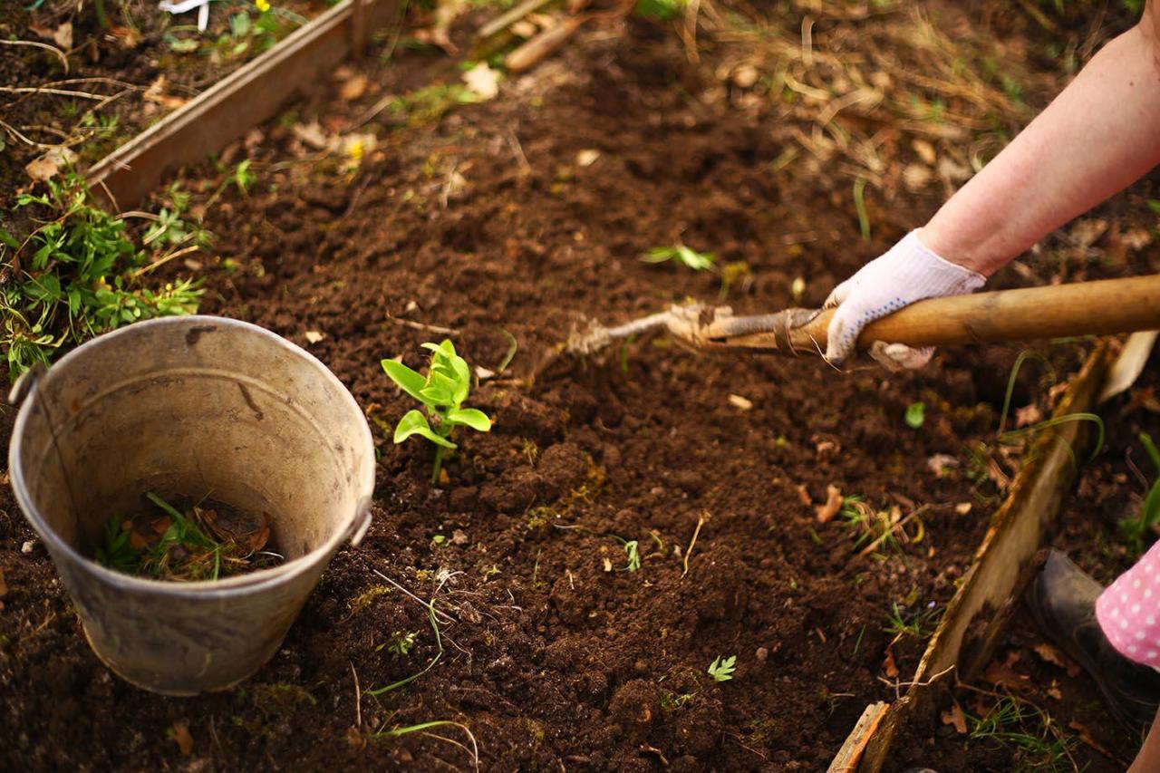 Bodenvorbereitung für Gemüseanbau im Garten