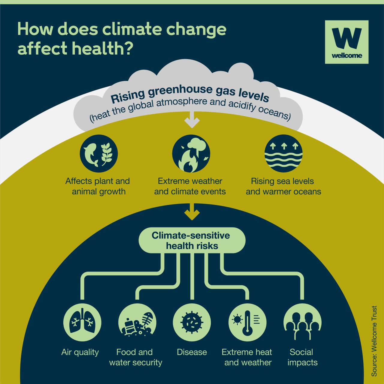 Wie beeinflusst der Klimawandel die Bestäubung?