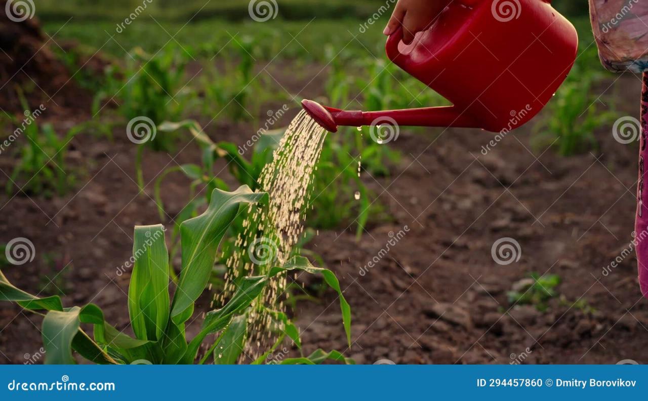 Watering raised garden beds self choose board system