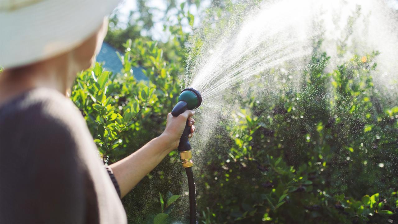 Welche Gießtechnik spart am meisten Wasser?