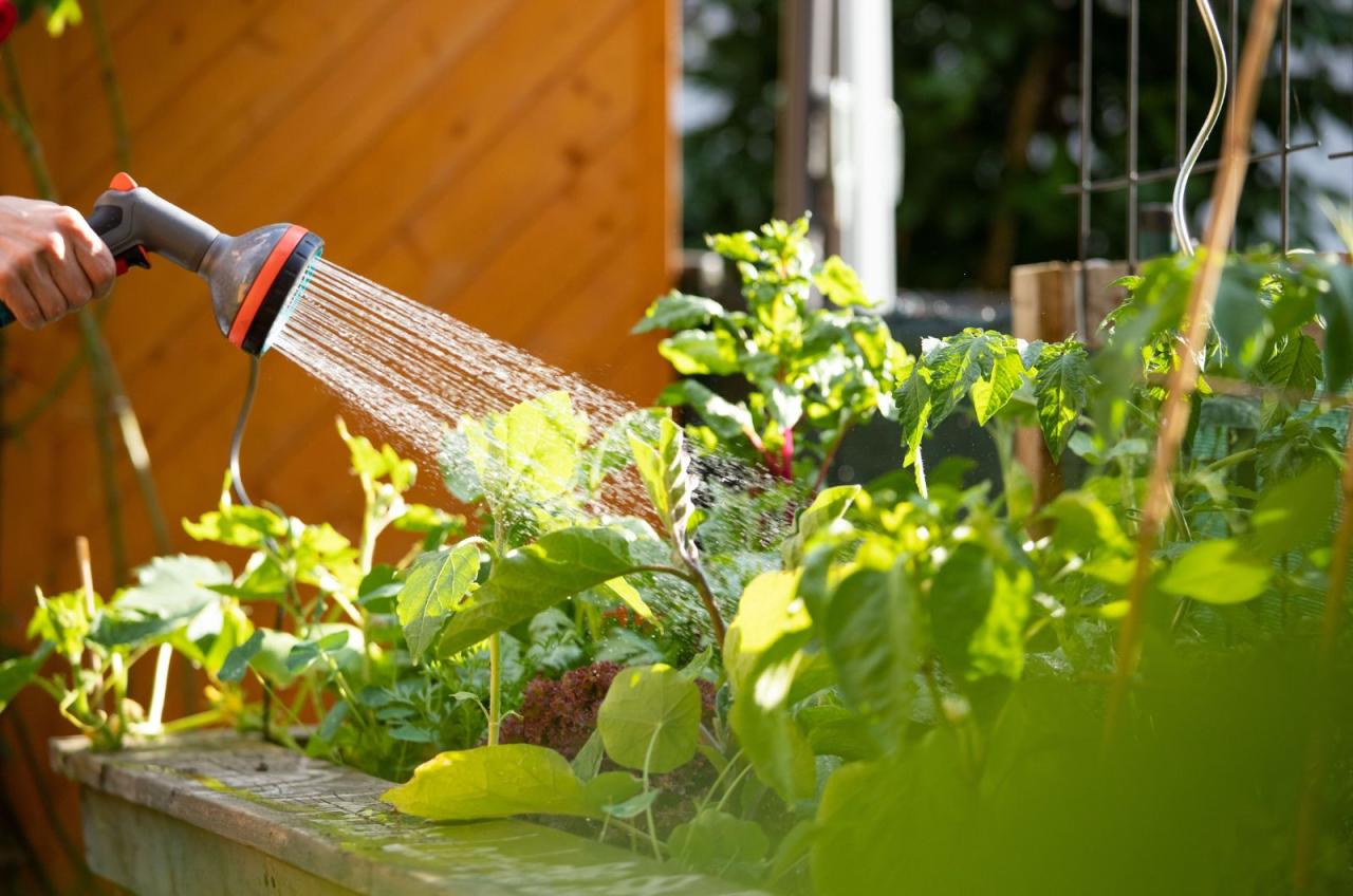 Watering planter notonthehighstreet fitting greenhouse